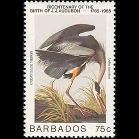 Barbados postage - Ardea herodias (Great blue heron)