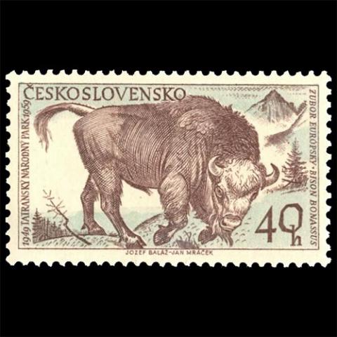 Czechoslovakia postage - Bison bonasus (European bison)