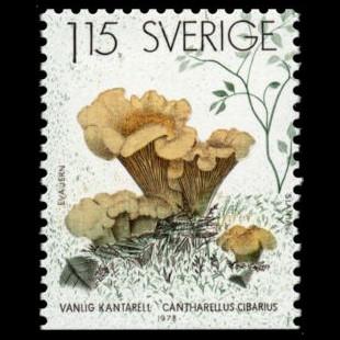 Sweden postage - Cantharellus cibarius (Chanterelle)