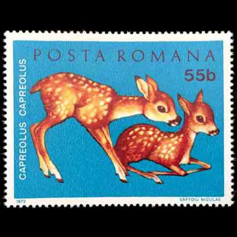 Romania postage - Capreolus capreolus (Roe deer)