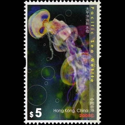 Hong Kong postage - Chrysaora fuscescens (Pacific sea nettle)