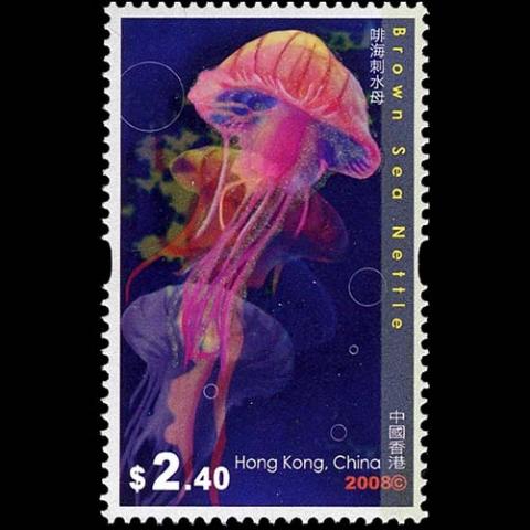 Hong Kong postage - Chrysaora melanaster (Brown sea nettle)