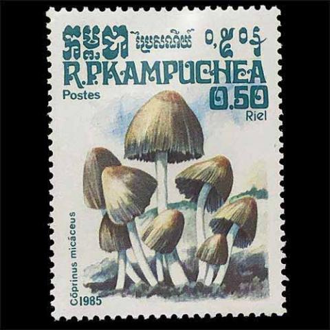 Cambodia postage - Coprinellus micaceus (Mica cap)