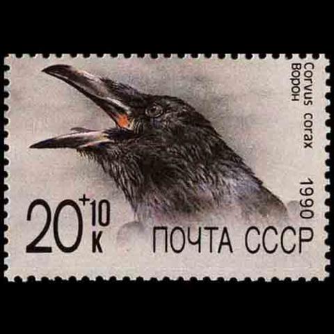 Soviet Union postage - Corvus corax (Common raven)