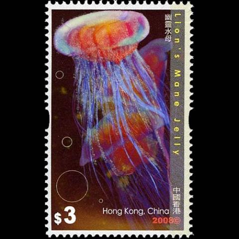 Hong Kong postage - Cyanea capillata (Lion's mane jelly)