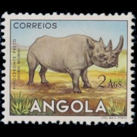 Angola postage - Diceros bicornis (Black rhinoceros)