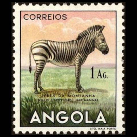 Angola postage - Equus zebra (Mountain zebra)