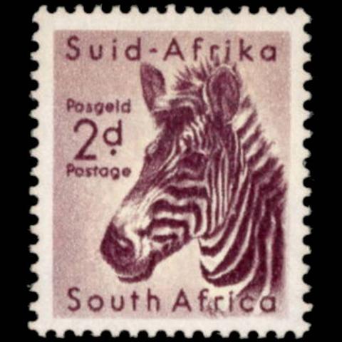 South Africa postage - Equus zebra (Mountain zebra)