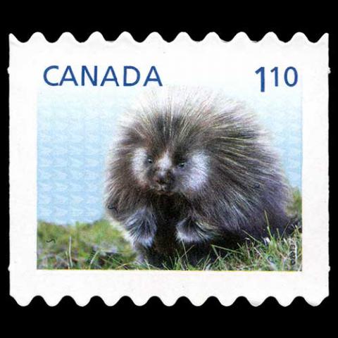 Canada postage - Erethizon dorsatum (North American porcupine)