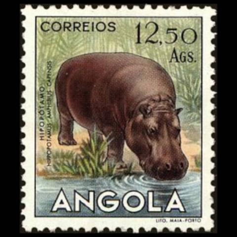 Angola postage - Hippopotamus amphibius (Common hippopotamus)