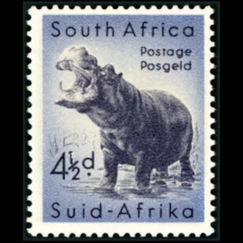 South Africa postage - Hippopotamus amphibius (Common hippopotamus)