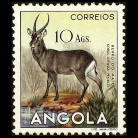 Angola postage - Kobus ellipsiprymnus (Ellipsen waterbuck)