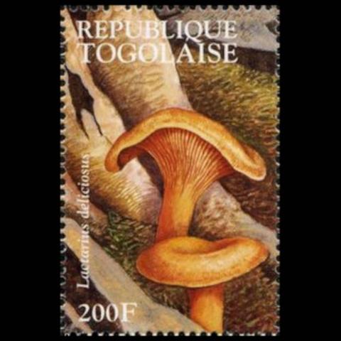 Togo postage - Lactarius deliciosa (Saffron milk cap)