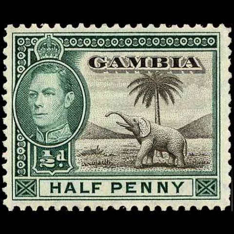 Gambia postage - Loxodonta africana (African bush elephant)