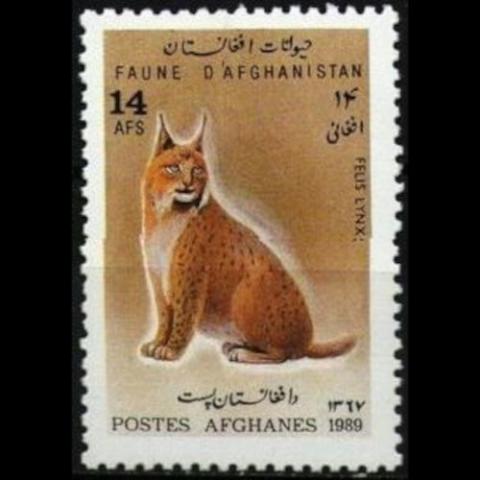 Afghanistan postage - Lynx lynx  (Eurasian lynx)