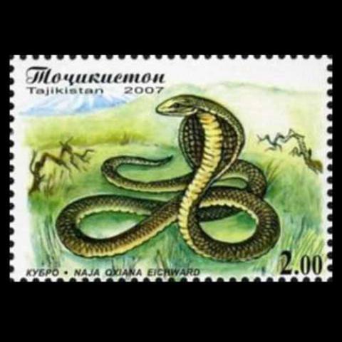 Tajikistan postage - Naja oxiana (Caspian cobra)