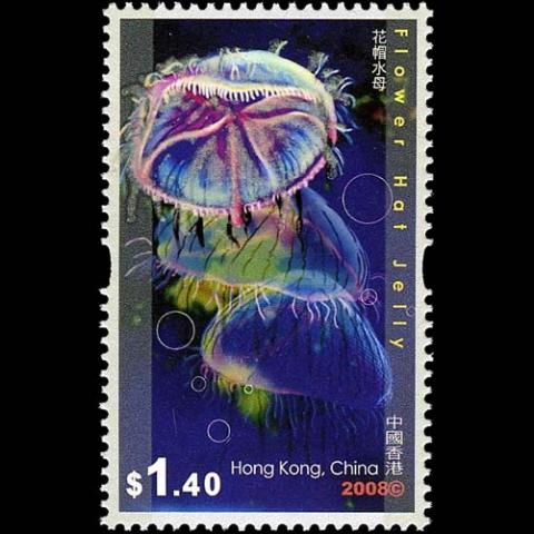 Hong Kong postage - Olindias formosus (Flower hat jelly)