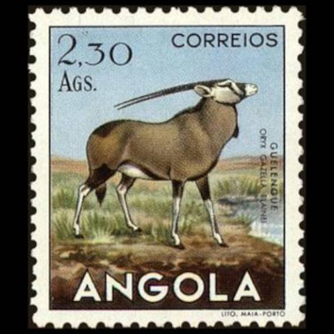 Angola postage - Oryx gazella (Gemsbok)