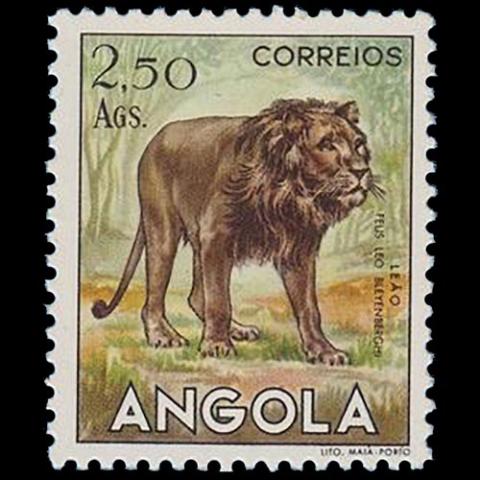 Angola postage - Panthera leo (Lion)