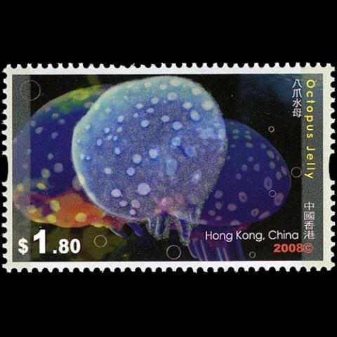 Hong Kong postage - Phyllorhiza punctata (White spotted jellyfish)