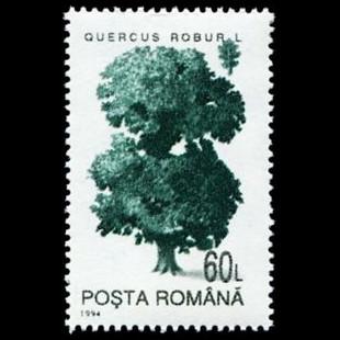 Romania postage - Quercus robur (Common oak)