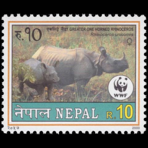 Nepal postage - Rhinoceros unicornis (Indian rhinoceros)