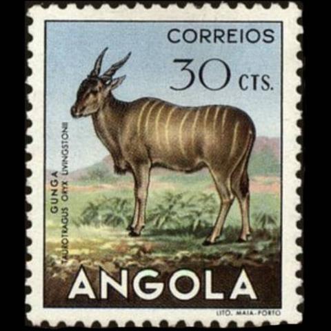 Angola postage - Taurotragus oryx (Southern eland)