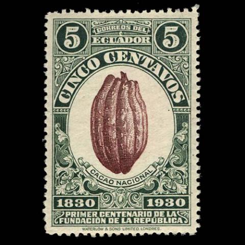 Ecuador postage - Theobroma cacao (Cacao tree)