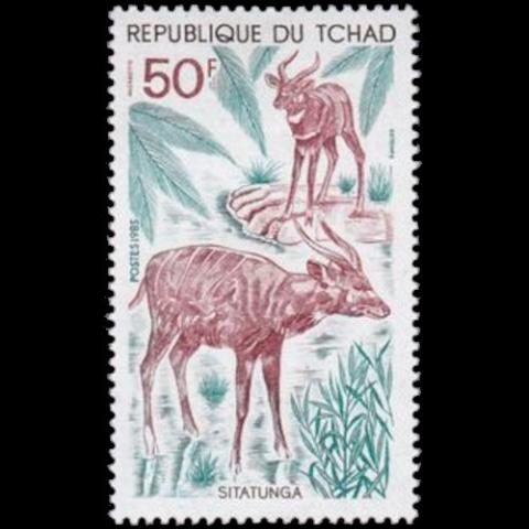 Republic of Chad postage - Tragelaphus spekii (Sitatunga)