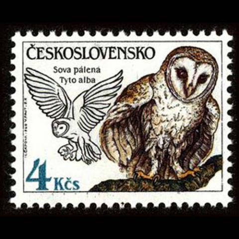 Czechoslovakia postage - Tyto alba (Barn owl)