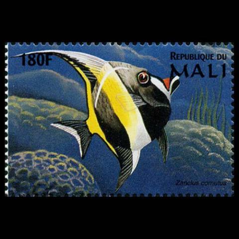 Mali postage -Zanclus cornutus (Moorish idol)