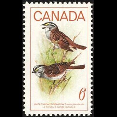 Zonotrichia albicollis (White-throated sparrow)