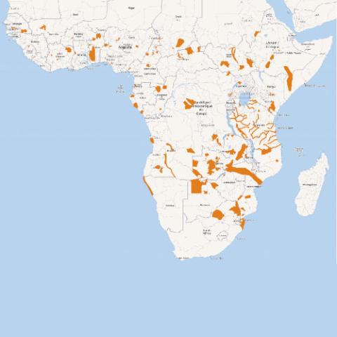 Hippopotamus amphibius (Common Hippopotamus) - range map