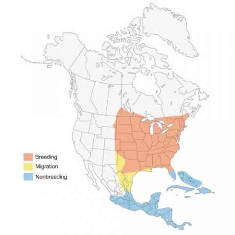 Passerina cyanea (Indigo bunting) map