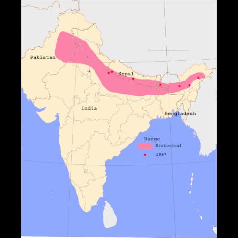 Rhinoceros unicornis (Indian rhinoceros) Range map