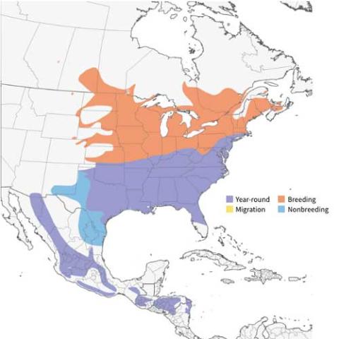 Sialia sialis (Eastern bluebird) range map