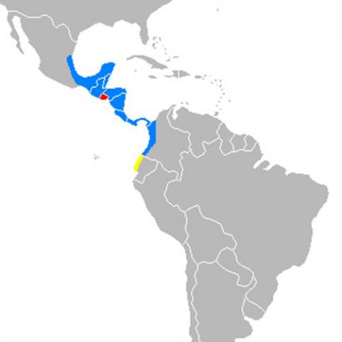 Tapirus bairdii (Baird's tapir) range map