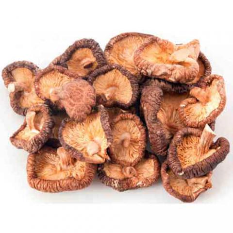 Lentinula edodes (Shiitake) mushrooms