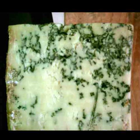 Penicillium roqueforti (Penicillium) Roquefort cheese