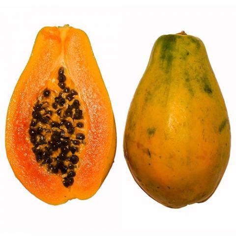 Carica papaya (Papaya) fruit