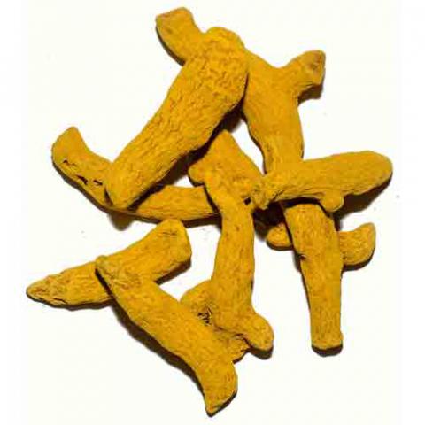 Curcuma longa (Turmeric) dried root