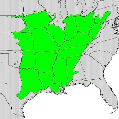 Gleditsia triacanthos (Honey locust) range map