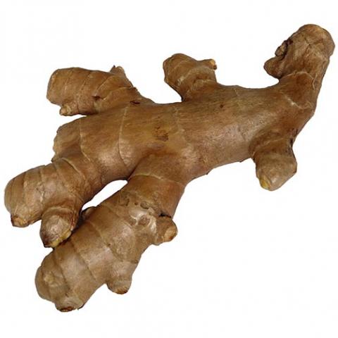 Zingiber officinale (Ginger) rhizome/root