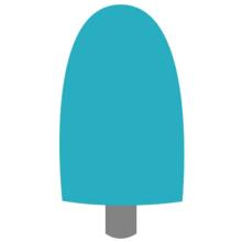 Fungi-ID Cap-Shape: cylindrical