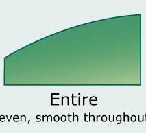 Plantae-ID/leaf-margins/entire