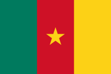 Flag of Cameroon