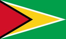 Flag of Guyana