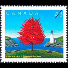 Canada postage - Acer rubrum (Red maple)
