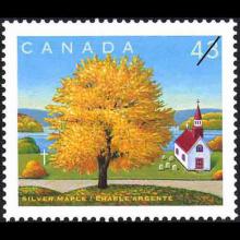 Canada postage - Acer saccharinum (Silver maple)