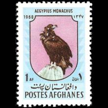 Afghanistan postage - Aegypius monachus (Eurasian black vulture)